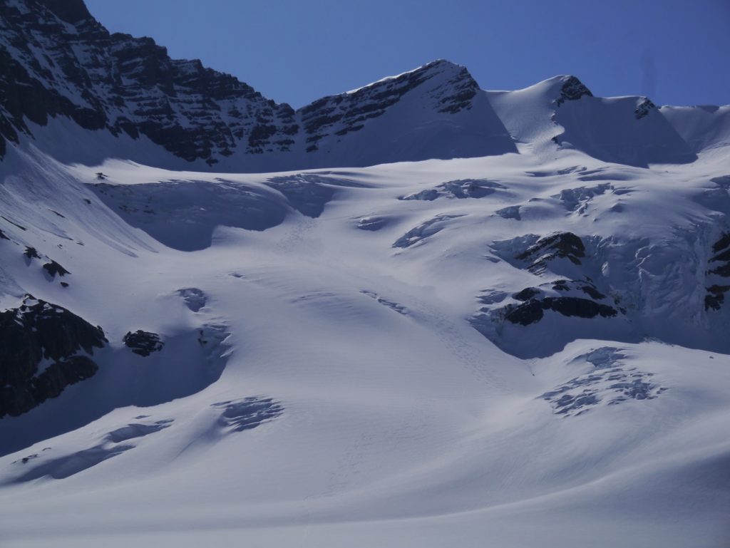 Ski Tracks on Tusk Glacier Altus Mt. Guides
